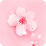 宅男深夜利器app手机版下载地址