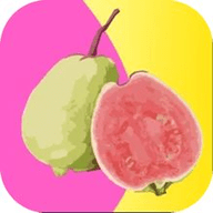 蝌蚪影视手机版