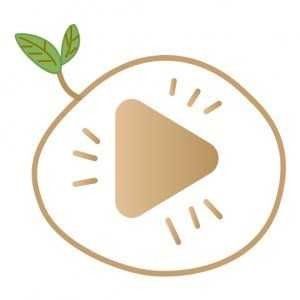 蘑菇tv手机版免费下载