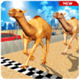 沙漠骆驼模拟器Camel Desert Race Simulator最新手游版